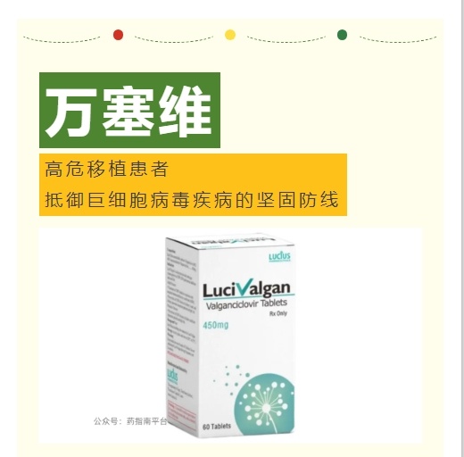 揭秘万塞维：如何在成人与儿科 CMV 防治中 “大显身手”？