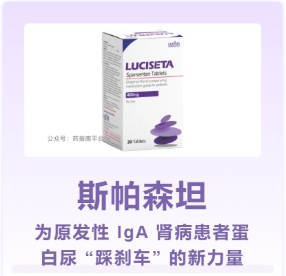 高风险IgA肾病患者的福音？斯帕森坦如何降低蛋白尿？