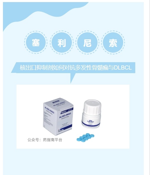 塞利尼索：肿瘤治疗战场上的“核盾牌”，守护多发性骨髓瘤与DLBCL患者